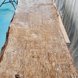 3.6 metres Long Waney Edged Oak Counter or Bar top. Stunning.