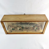 Cased Taxidermy Jack Pike in Natural Surroundings. 20th Century.