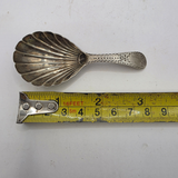 Antique Georgian Bright Cut Solid Silver Tea Caddy Spoon – Shell Bowl