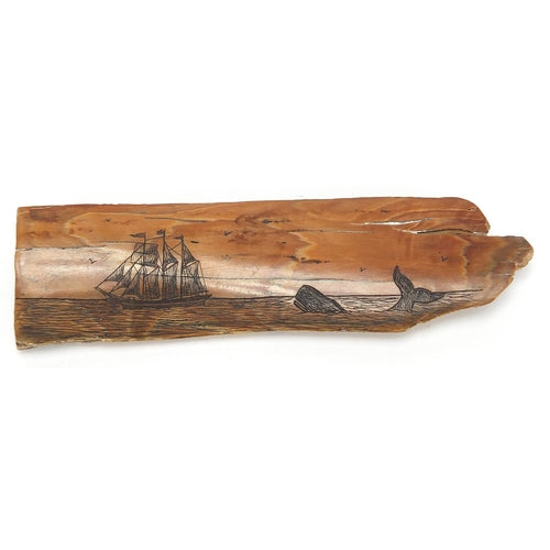 Scrimshaw Fossilised Mammoth Ivory Tusk