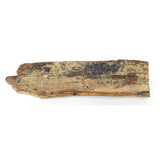 Scrimshaw Fossilised Mammoth Ivory Tusk