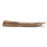 Scrimshaw Fossilised Mammoth Ivory Tusk