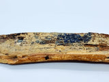 Scrimshaw Fossilised Marine Ivory Walrus Tusk - Attrells