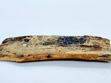 Scrimshaw Fossilised Marine Ivory Walrus Tusk - Attrells