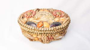 Vintage Seashell Trinket St George Les Bains Box