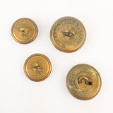 WW1 Royal Irish Fusiliers 8th Regiment Buttons