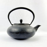 Antique Cast Iron Japanese Teapot