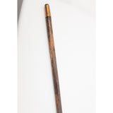 Edwardian tortoise shell walking stick