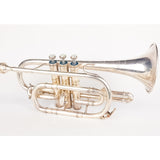 Alliance J.R. LaFleur and Sons Ltd Trumpet/Flugelhorn