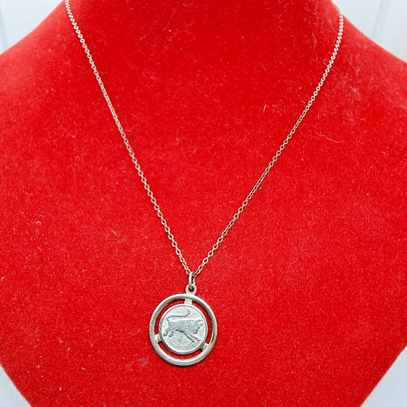 Silver Torus zodiac Pendant on Silver Necklace