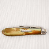 Silver Fruit Knife 1879-80 Martin Hall and Co Sheffield