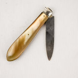 Silver Fruit Knife 1879-80 Martin Hall and Co Sheffield