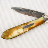 Silver Fruit Knife 1879-80 Martin Hall and Co Sheffield