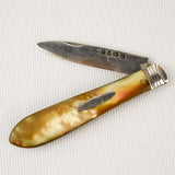 Silver Fruit Knife 1879-80 Martin Hall and Co Sheffield