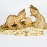Marble Fox Cubs and Hedgehog.