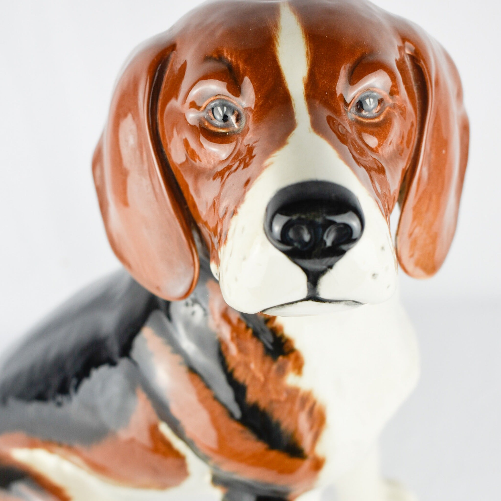 Beagle large hotsell