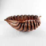 Carved Mahogany Clam Shell
