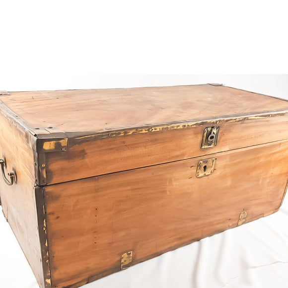 19th Century Camphor Wood Trunk