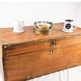 19th Century Camphor Wood Trunk