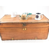 19th Century Camphor Wood Trunk